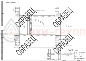 Обратный клапан поворотный фланцевый 19нж63нж DN 50 PN 6,3 МПа УХЛ1, корпус ст. 12Х18Н10Т