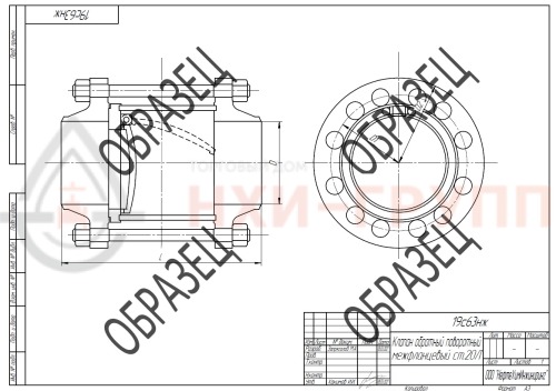 Клапан обратный поворотный межфланцевый (стяжное в сборе) 19с63нж DN 250 PN 6,3 МПа У1, корпус ст. 20